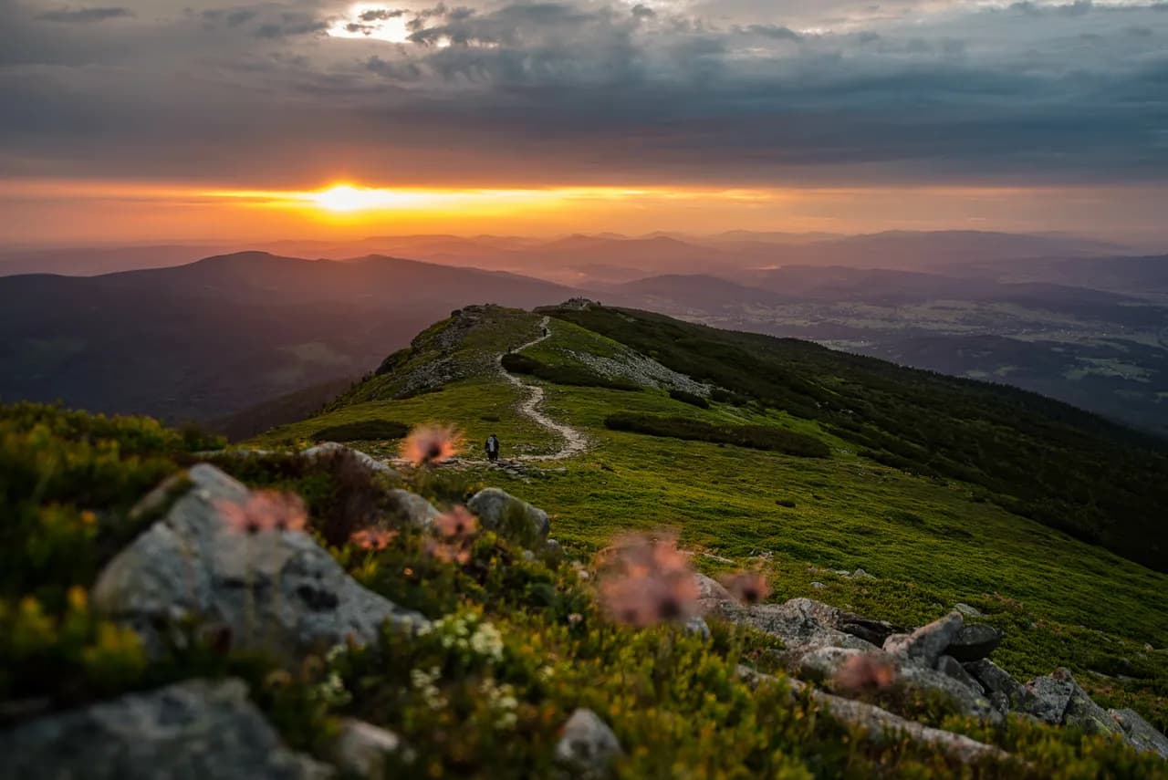 Najlepsze atrakcje w Zubrzycy Górnej, których nie możesz przegapić Najlepsze atrakcje w Zubrzycy Górnej, których nie możesz przegapić